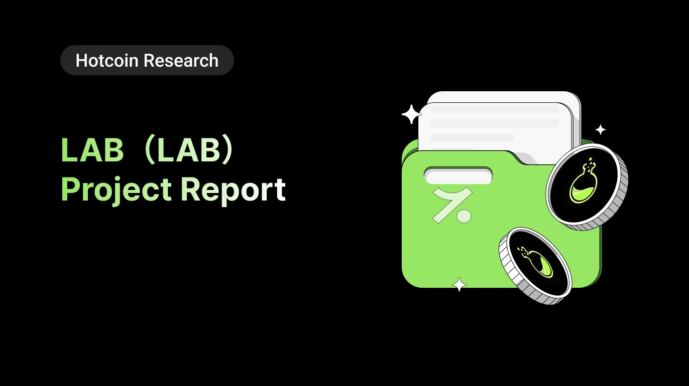 LAB(LAB)Project Report
